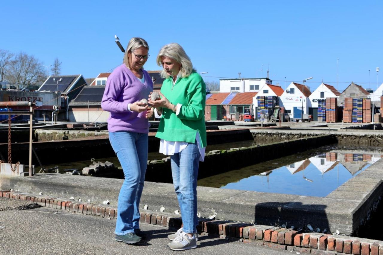 Middensluis 7 Villa Wemeldinge Eksteriør bilde